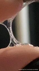 Aqui o prazer é real 🐸💦 #Gostosa