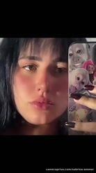 🐈‍⬛🐈‍⬛🐈‍⬛