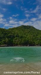 Beach day ☀️ #beach