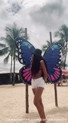 Vídeo de Cor de Canela - em 10 de Novembro de 2025