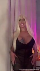 Good evening, my falcon lovers.