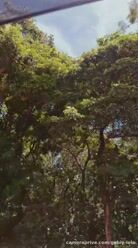 Dando uma volta de carro pra esfriar a cabeça...