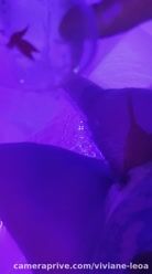 Imagine yourself here, drinking champagne 🔥