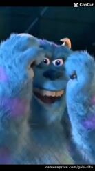 A little glimpse of the fan club 🤭🎁