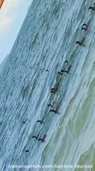 Contemplar, admirar, agradecer 🌊🌅 #videopremium