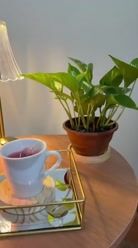 "Pause, breathe, and stay." ✨🤍