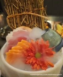 Aproveitando o melhor da vida 🥰 fui conhecer um restaurante lindo, lugar a céu aberto, boa…