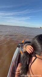 Vídeo de Mandraka CB - em 13 de Novembro de 2025