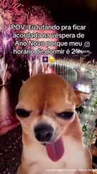 Me, lol 😂😂😂😂 what can I do if I'm a sleepyhead! 😅😂