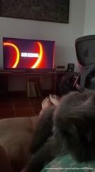 Everyone pay attention to the ending of #strangerthings