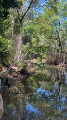 Obcecada pela natureza e suas riquezas! Sabia que no fundo até a natureza esconde sua beleza e só…