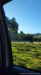 #The Queen is in paradise waiting for you later.... She's back 🥰