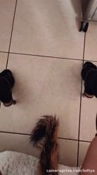 Sabem o que isso significa né?👀